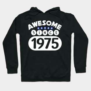 Awesome Since 1975 Hoodie